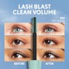 Pack of 2 CoverGirl Lash Blast Clean Volume Mascara, Black