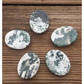 NATURAL TREE AGATE GEMSTONE WORRY STONE (ONE)