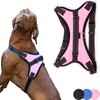 Zenify Pets Dog Harness - Chest Control Grab Adjustable Reflective