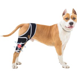 Universal Dog Knee Brace – Torn ACL, Joint Support, Front/Back Legs Size Large