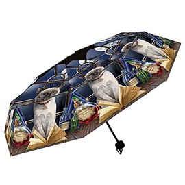 Nemesis Now Hocus Pocus (LP) Umbrella, Multi-Colour, 55 cm