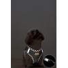Aiminto Denim Dog Harness & Leash Set, Breathable Mesh Material,
