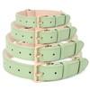 WHIPPY Leather Dog Collar for Small Medium Large Dog Adjustable