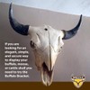 Skull Bracket Buffalo Bracket | Heavy-Duty Buffalo, Elk, Moose, Cattle