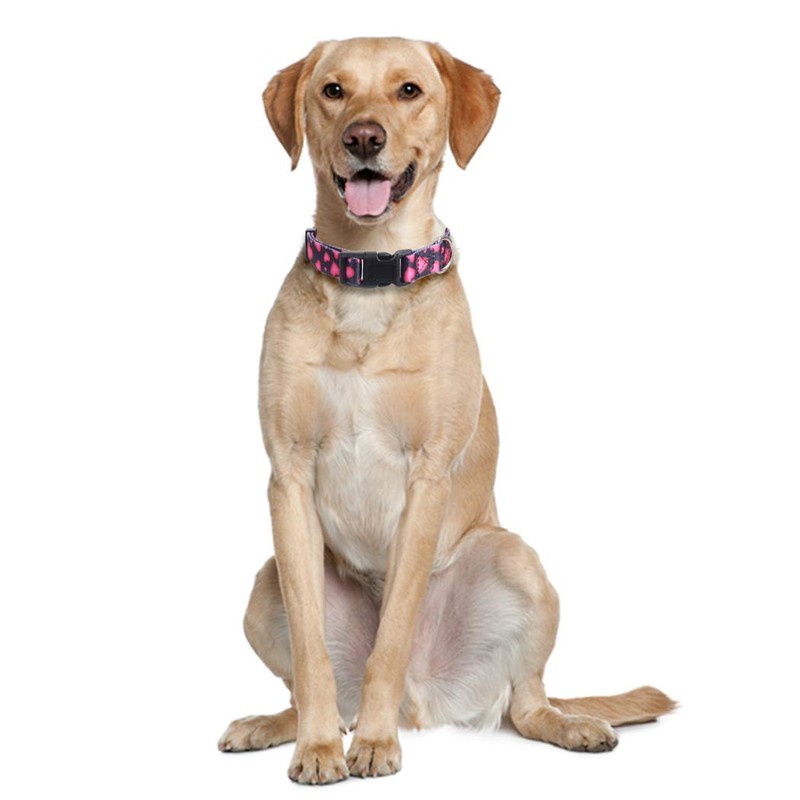 2 Pack Valentine's Day Dog Collar Adjustable Love Heart Small
