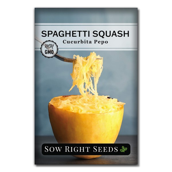 Sow Right Seeds Sow Right Seeds - Spaghetti Squash Seeds