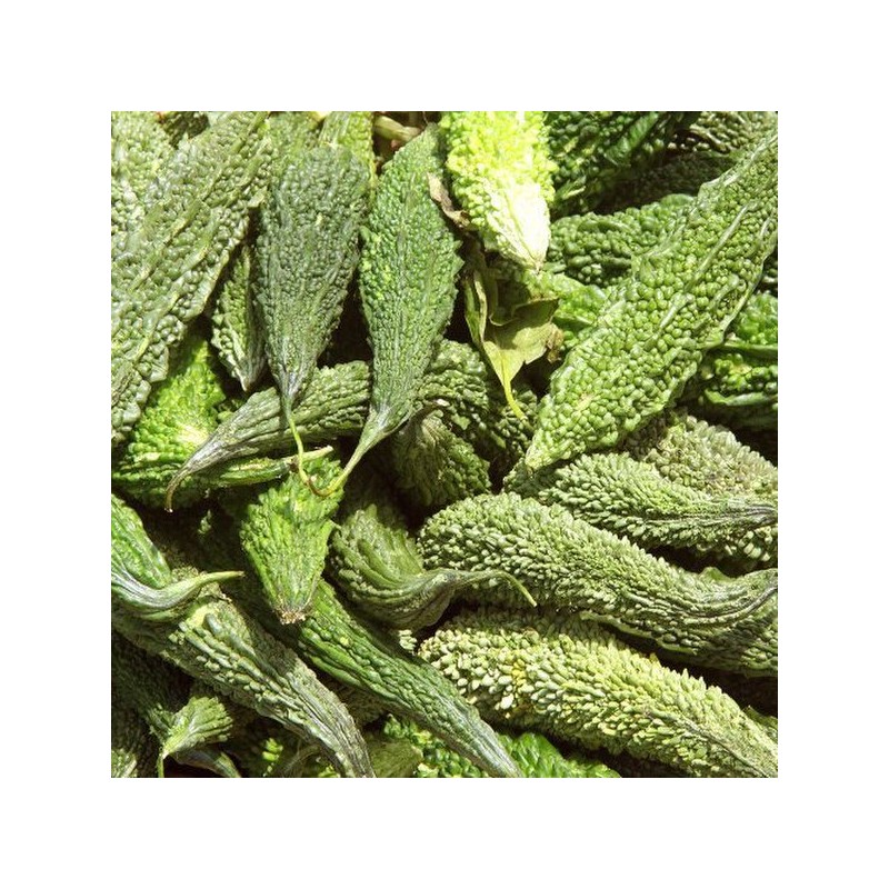 Chamgoods 국산 여주환 200g 5통 Korean Bitter Melon Powder 200g