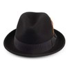 Jaxon Blues Trilby Crushable Fedora Hat (Medium, Black)