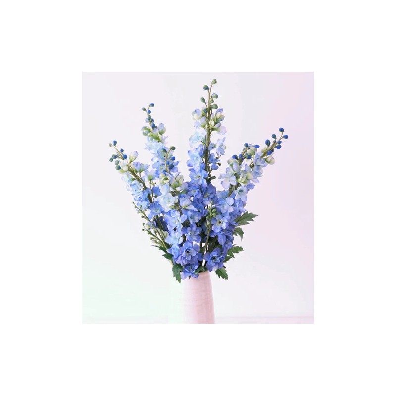 TomorrowSeeds Light Blue Rocket Larkspur Seeds | Delphinium Consolida Ajacis