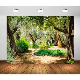 Loccor 9x6ft Fabric Jerusalem Olive Garden Backdrop Ancient Gethsemane Garden Olive Grove Trees Jerusalem Israel Background Christian Religious Church Banner Decor Photo Props