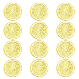 Rimikuru Food Sample Lemon Slice Ring Cutting Set, Fruit Cut, Display (Lemon, Set of 24)