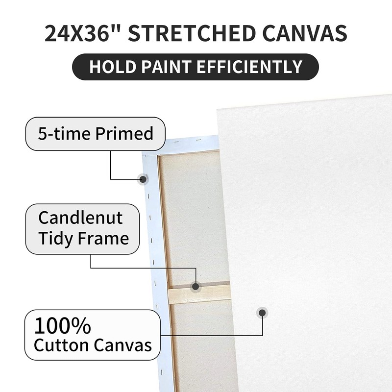 Pre Stretched Canvases for Painting 24x36 2 Pack Large Blank