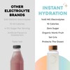 Instant Hydration Electrolytes Powder Packets - Variety Pack - Zero