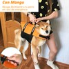 ERYURU Chaleco Salvavidas Perro,Salvavidas para Perro pequeño y Grande con