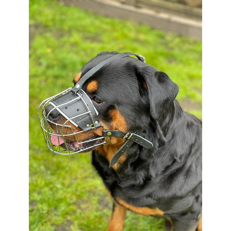 STRONG Wire Metal muzzle Basket Dog Muzzle Rottweiler,Mastiff Golden Retriever