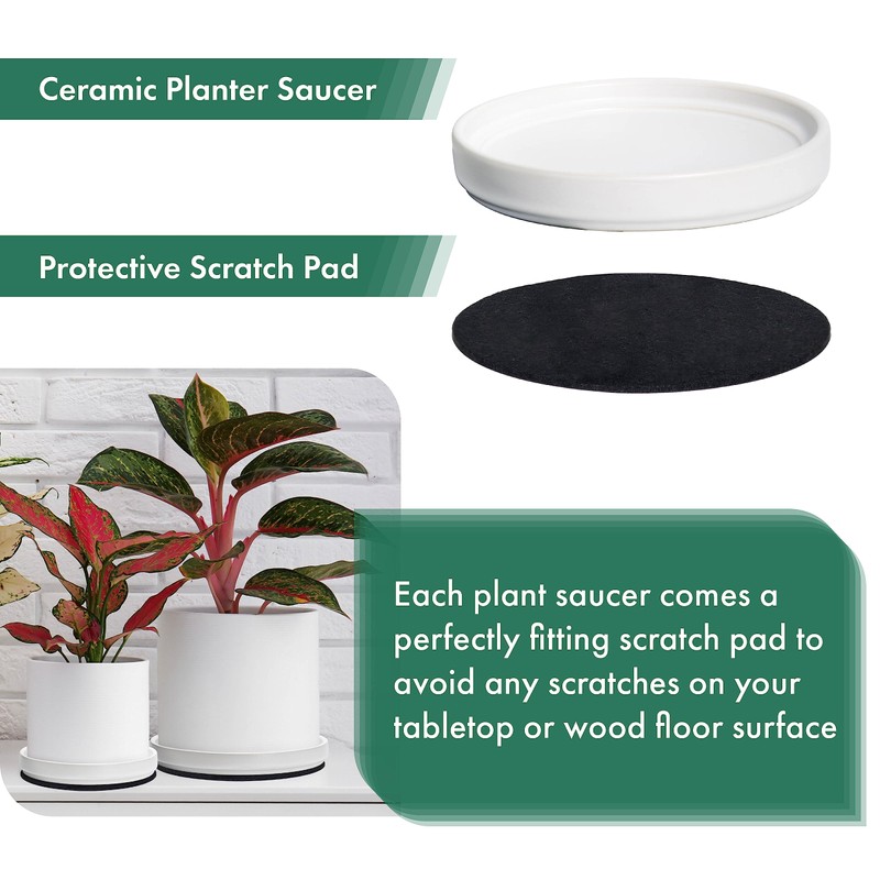D'vine Dev Modern Round 6 Inch Ceramic Plant Pot Saucer,