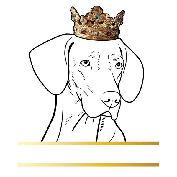 Vizsla Dog Record and Memory Book: Dog Photo Album Pet