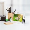 Hoikwo Bulk 4x6 Simple Elegant Picture Frames, 6 Packs Silver