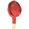 PIONEER BALLOON COMPANY 30" SUPERAGATE RAINBO, Red Orange Rainbow