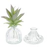 Nordstern Mini Vase 'Angri' Transparent Set of 2 - Diameter