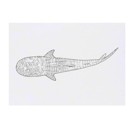 Azeeda 'Walhai' Temporäres Tattoo - Hautfreundlicher & Ungiftiger Abziehbild · Wasserfest (TO00071807)