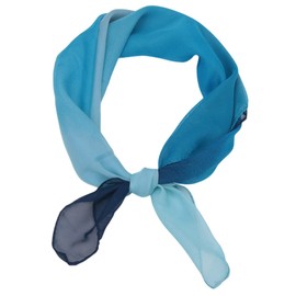 FAIRYGATE Halstuch Damen Seide Chiffon Seidentuch Bandana für Damen Als Halstuch verwendbar Halstuch DA2716