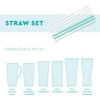 Swig Life Reusable Straws Sherbert Stripe Tall Straw Set &