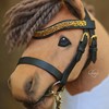 Hobby Horse Bridle Set ◆Gold Edition◆: DIY Material Set with