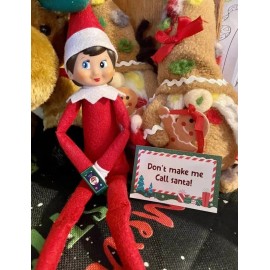 TreasureNTrooveGifts 1 Miniature Christmas Pixie Elf Cell Phone To Call Santa Red Or Green Choice