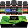 ORIGINAL NATURES OILS Kit de 5 aceites Esenciales para difusor