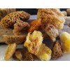 Natural Sea sponge Mix Artist combination pack 12ct