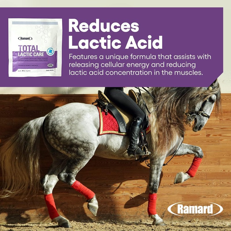 Ramard Total Lactic Care, Muscle Function Support Supplement, 25 Grams,