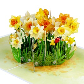 iGifts And Cards Robin and Daffodil Meadow 3D Pop-Up Card, 6" x 8" with Envelope – Stunning Spring Bird and Floral Design for Mother’s Day, Birthday, Thinking of You, Notecard Included