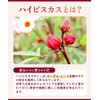 Onkatsu Farm Rose Hip Hibiscus Tea Bags (2g×30 packets/official brand)