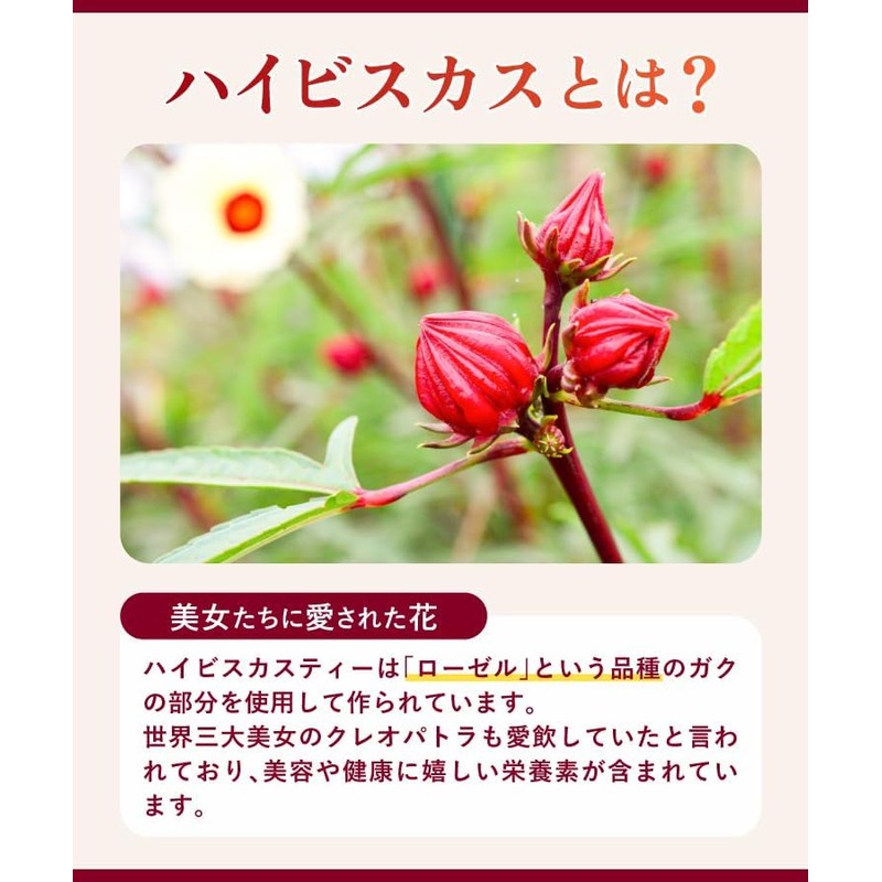 Onkatsu Farm Rose Hip Hibiscus Tea Bags (2g×30 packets/official brand)