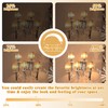 BLINGCOLOR Dimmable E12 LED Edison Candelabra Bulbs 40 Watt Equivalent,