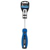 Blue Spot Tools 13014 Screwdriver, Blue, PH2 x 100 mm