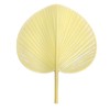Round Fan, Summer Cooling Fans, Large Hand Fan, Portable Fan