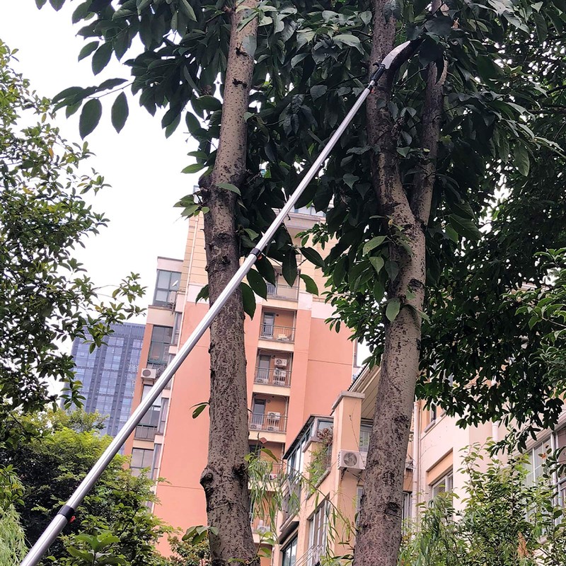 Buyplus 26FT Reach Pole Saws for Tree Trimming, Pole Saw