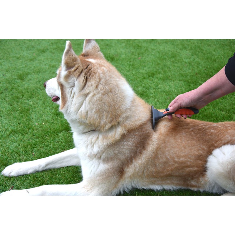 Rosewood Soft Protection Moult Stoppa, Professional Grooming Brush for Dogs