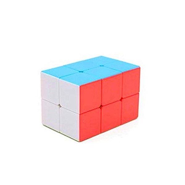 CuberSpeed 2x2x3 stickerless Cuboid Cube 223 Magic Cube Tower Shaped Magic Cube