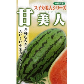 Futaba Seedlings (First Generation), Watermelon, Sweet Watermelon, Seeds, Small Bag Pack (10 Capsules)