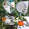Fruit Picker Length Adjustable Stainless Steel Lemon Orange Pear Picker
