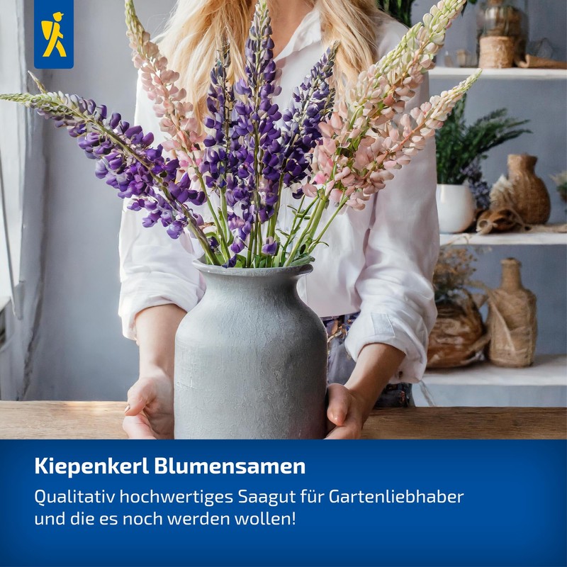 Kiepenkerl Blue Cushion Superbissima Mix 106063