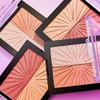 Wet n Wild MegaGlo Blushlighter, Blendable Blush Highlighter Set de