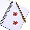 24 x 40mm Round 'Welsh Red Dragon' Stickers (SK00067307)