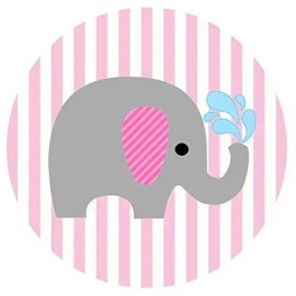 100 Etiquetas Recuerdo Baby Shower Personalizadas Niña Me6