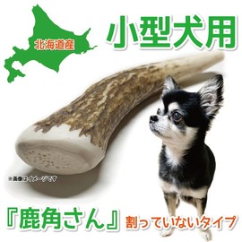 Kazuno-san Ezo Deer Antler Uncracked (Tip), For Small Dogs, 1 Piece, Made in Hokkaido, Natural, Additive-free, Ozone Treated, Dog Toy, Dental Care