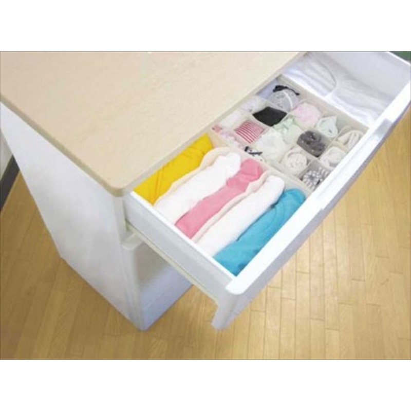 Toyo Case Partitioned Storage Box;