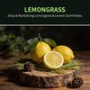 GAGINGOOLD Car Air Freshener Hanging 2 Pack, Lemon Grass Scent
